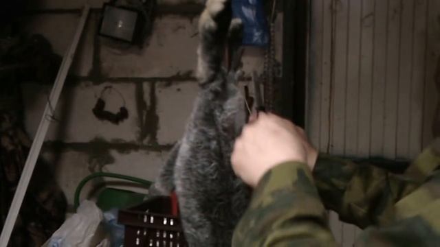 забой и разделывание кролика (видео 13)