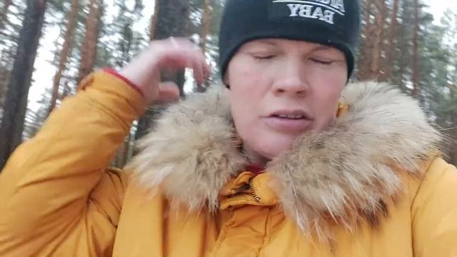 Прогулка по Тавдинскому лесу. смотреть онлайн
