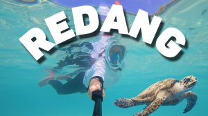 Малайзия Реданг Райский остров с черепахами