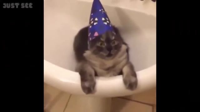 Подборка приколов за январь 2016 | 18+ смотреть онлайн