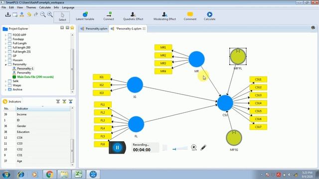 Moderation Analysis in Smart-PLS смотреть онлайн