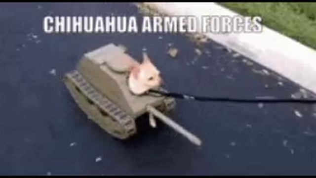 мем войнаааааа