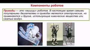 виды роботов