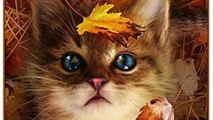 Самый Добрый День - Пожелание для Вас