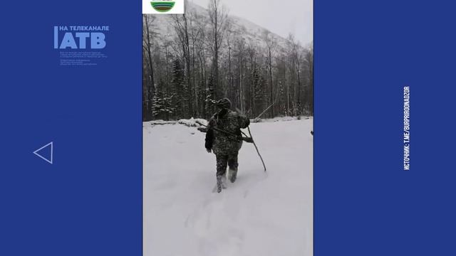 Главное за день: суд над хирургом, бешеные волки и 500 литров бесплатного бензина смотреть онлайн