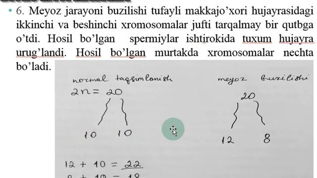 Mitoz,Meyozga doir masalalar 6 смотреть онлайн