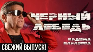 🔥ТОК-ШОУ «ЧЕРНЫЙ ЛЕБЕДЬ» ВАДИМА КАРАСЕВА - ТОРГ ТРАМПА - СТАРИКОВ, ЗЕМЛЯНСКИЙ, КУЩ, ЕРМОЛАЕВ