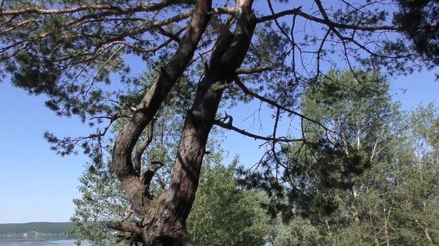 Велопоход "Печенежский круг" | Малые Карпаты | Прыжки с тарзанки | Потеряли трусы смотреть онлайн