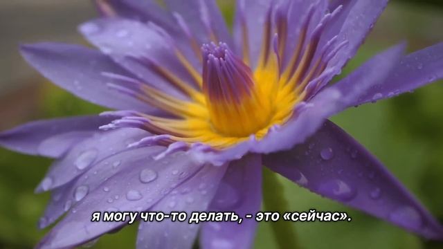 "Обида и жалость к себе". 14 ноября. Сегодня - лучший путь. Ежедневник для созависимых. смотреть онлайн