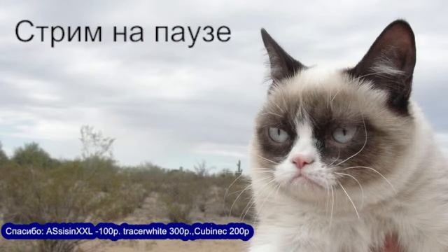 Периметр (2004).Стрим 1 смотреть онлайн