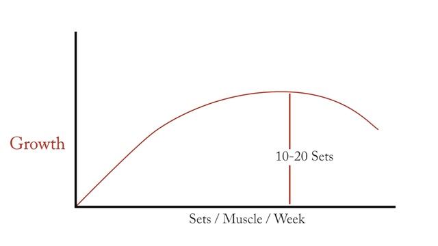HOW MANY SETS FOR MAXIMUM MUSCLE GROWTH || INFO BY ALL ABOUT NUTRITION || смотреть онлайн