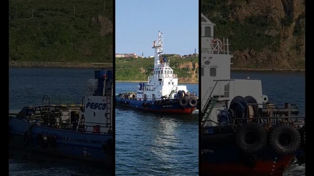 Трудовые будни в порту💖💖💖 смотреть онлайн