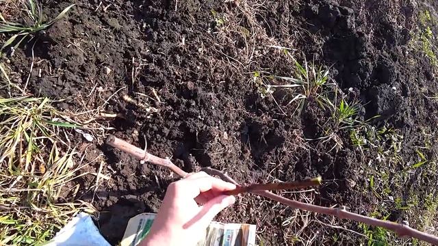 ПОШЛИ С КУМОМ НА ДЕЛО! смотреть онлайн