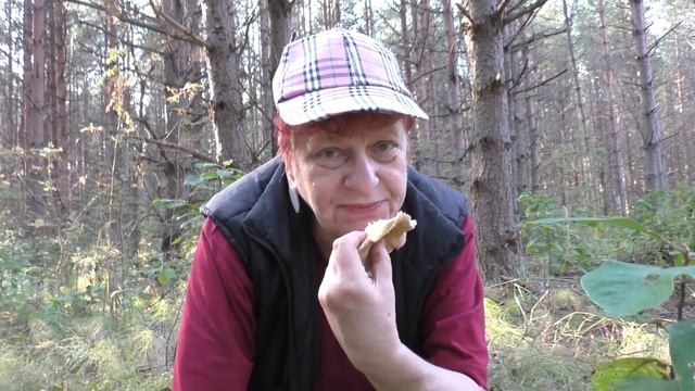 Лучше без алкоголя! Говорушка булавоногая - Ampulloclitocybe clavipes смотреть онлайн