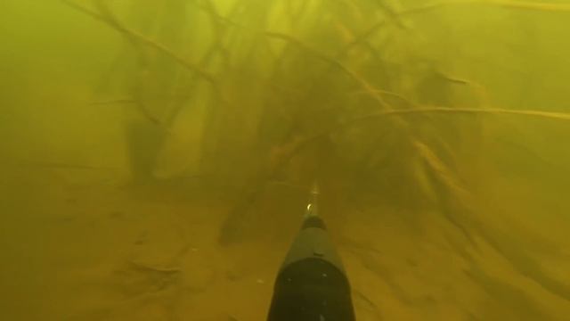 ВПЕРВЫЕ ПОКАЖУ ТАКУЮ ОХОТУ! смотреть онлайн