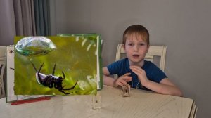 Пауки серебрянка и хасельта