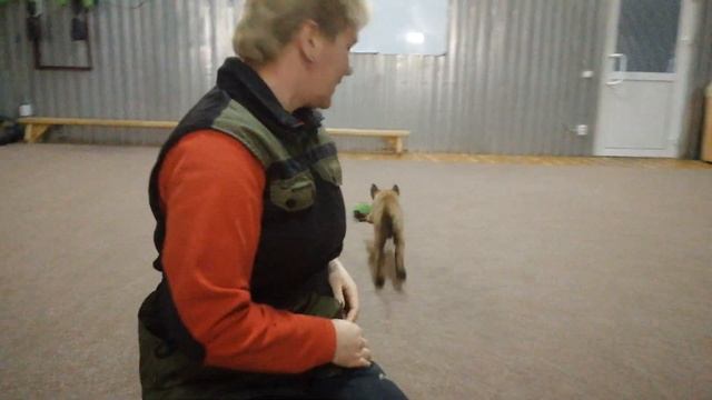 Люгер 1,5 месяца. смотреть онлайн