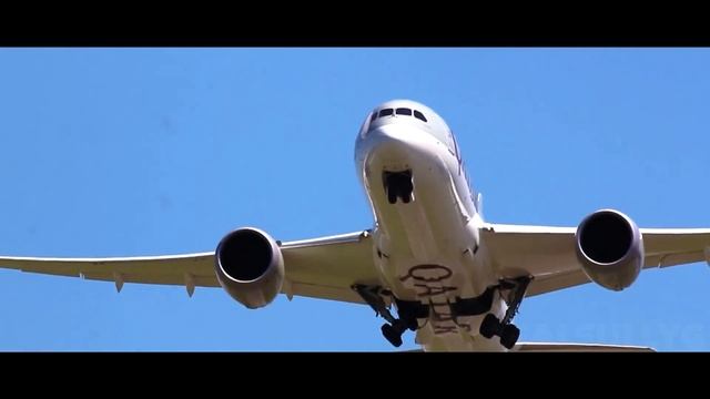 Numa Numa - Otamatone Cover