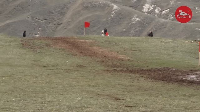 Скачки в честь Дня победы 9мая смотреть онлайн