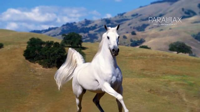 Parallax - Photo Animation Kit 4K (Best After Effects Projects) смотреть онлайн