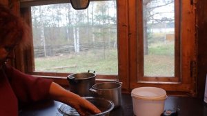 Горячая засолка Соснового опёнка - Hypholoma capnoides