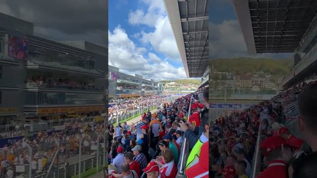 5 minutes before the start Formula 1 Sochi 2019 - / 5 минут до старта Формула 1 Сочи смотреть онлайн