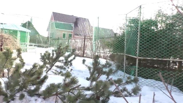 Весна наступает, но за грибами ещё рано. смотреть онлайн