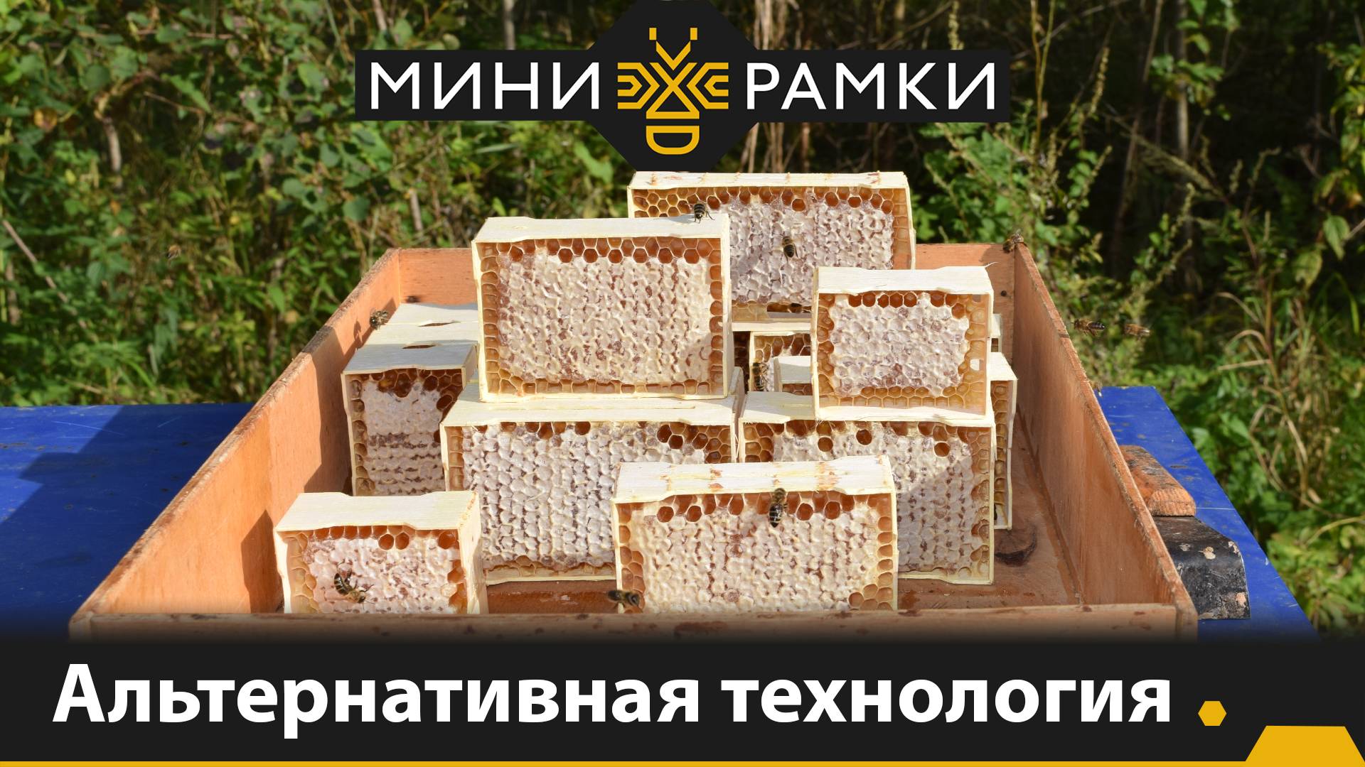 Альтернативная технология получения секционного сотового меда смотреть онлайн