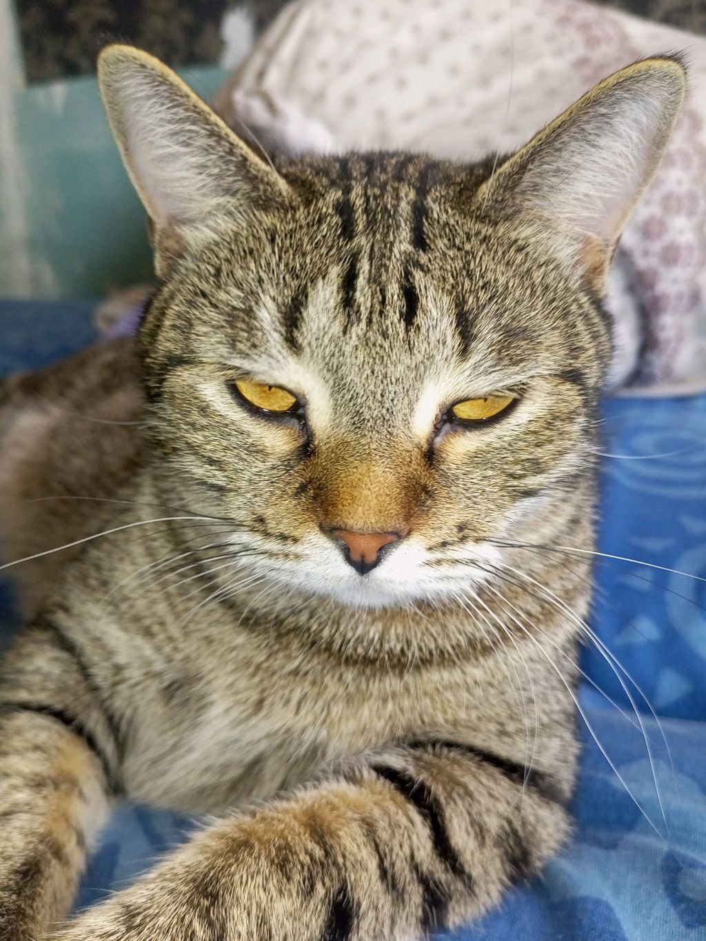 ИГАРААЮЮЮЮ ВВС ММАААААЙНКРААААФФТ смотреть онлайн