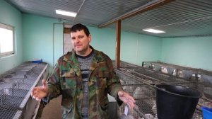 ДОХНУТ КРОЛИКИ на дорогих кормах!!