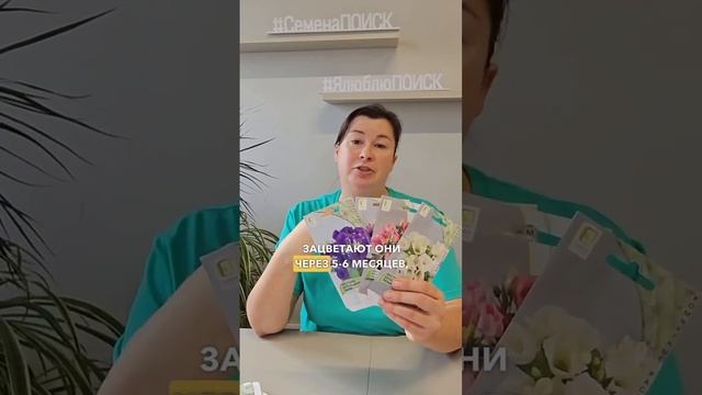 Посев эустомы в нобяре. Какие сорта эустомы посадить в ноябре.