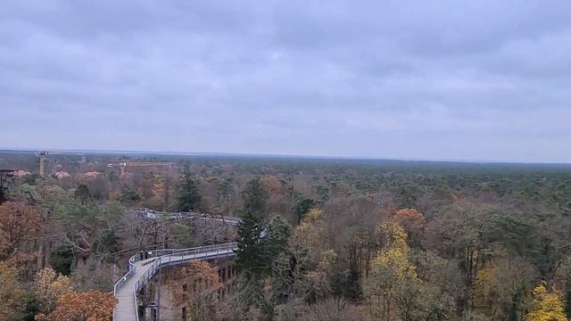 Госпиталь Белиц. Германия. Beelitz. Germany. 2021. смотреть онлайн
