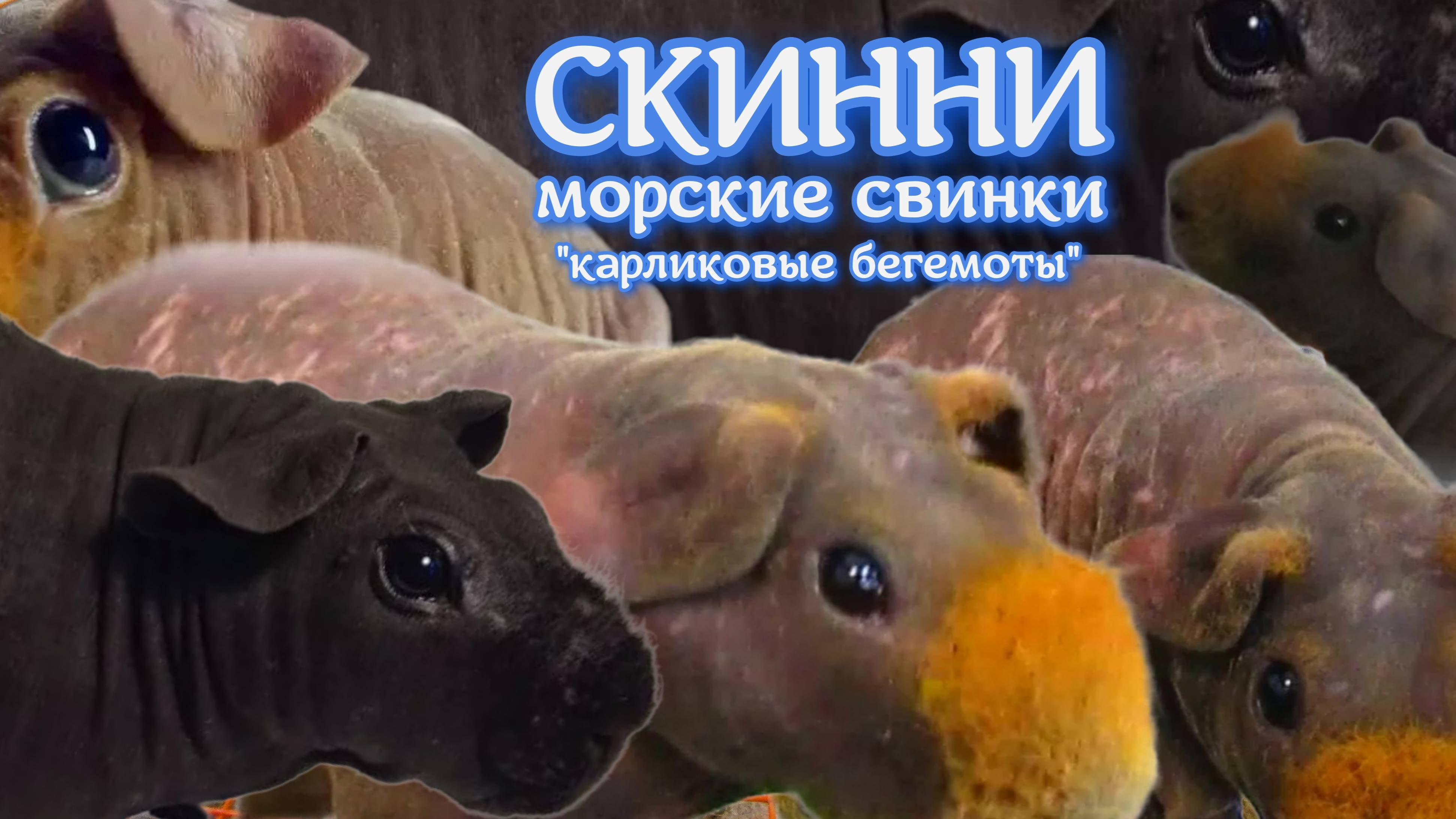 Скинни смотреть онлайн