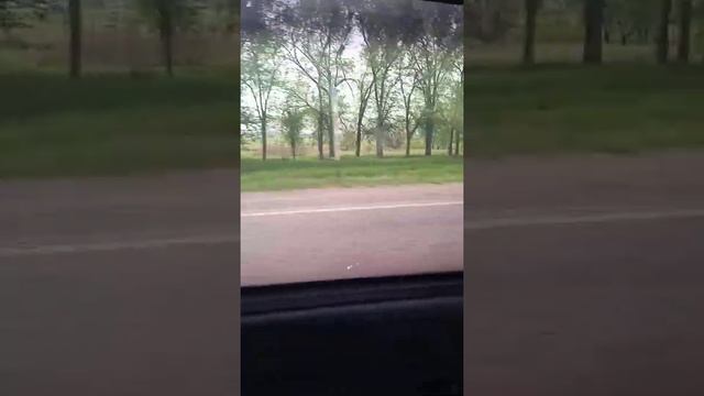 Междуречье.Алма атинская область.Зеленыйпоселок. смотреть онлайн