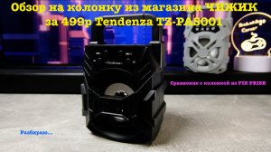 Новая колонка из Чижика. Tendenza TZ-PAS001 Обзор с разбором и сравнение с колонкой из Fix Price