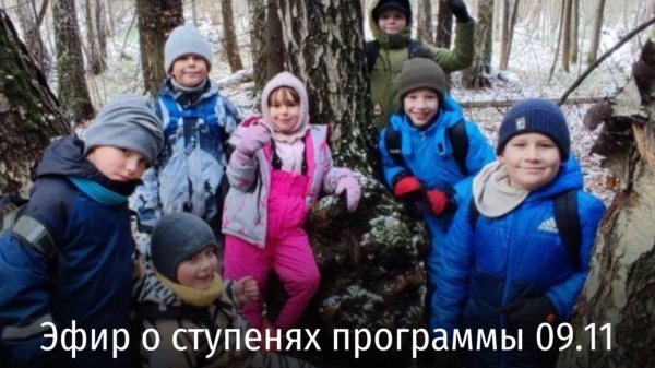 Ступени программы