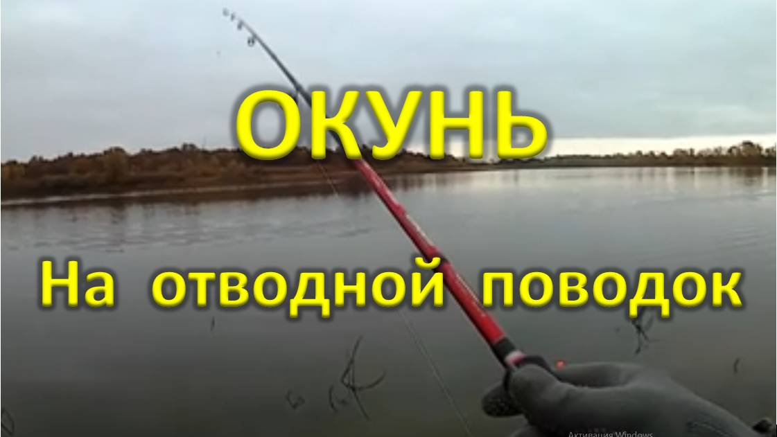 Ловля окуня на отводной поводок смотреть онлайн
