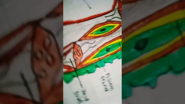 Types of cells in phloem biology diagram #drawing #trending #science смотреть онлайн