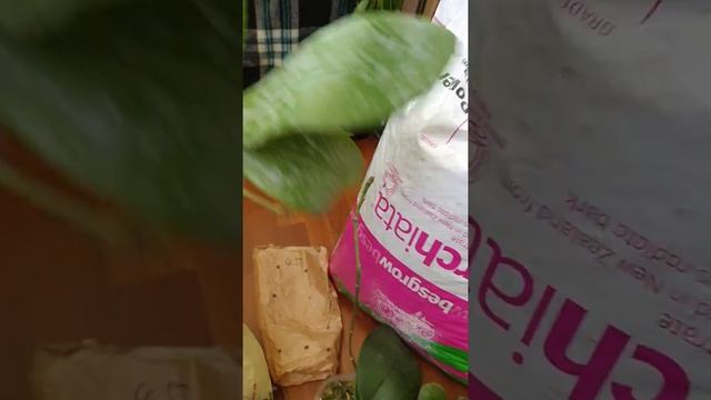 Покупочки у Влады.👍👍👍 смотреть онлайн