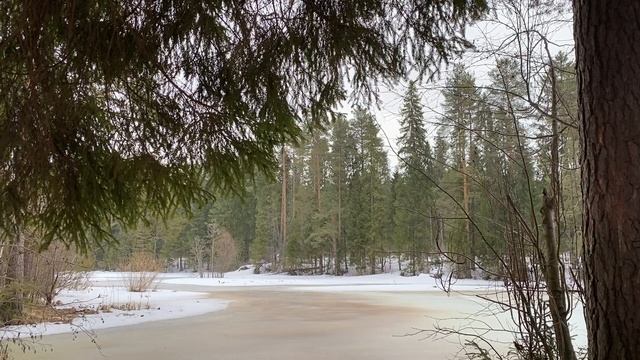 ЗАВТРА ЖЕ ВЕРНИ ДЕНЬГИ НА МЕСТО!... | Истории из жизни. смотреть онлайн
