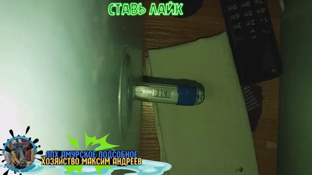 Блиц норма 👍👍👍👍👍👍 смотреть онлайн