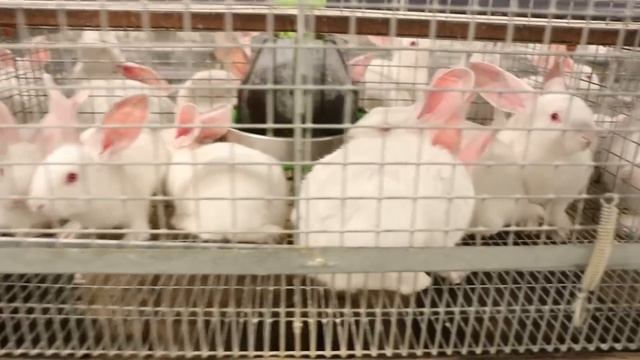 ПОЕЗДКА ПО СТРАНЕ, ЗАПОМНИТСЯ НАДОЛГО! смотреть онлайн