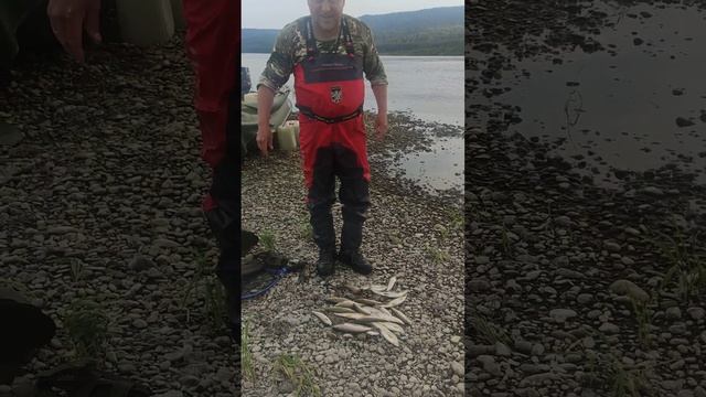 ХАРИУС смотреть онлайн