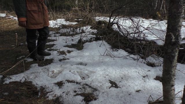 За грибами раньше срока. Первый выезд. Дневник грибника 11 апреля 2020 года. смотреть онлайн