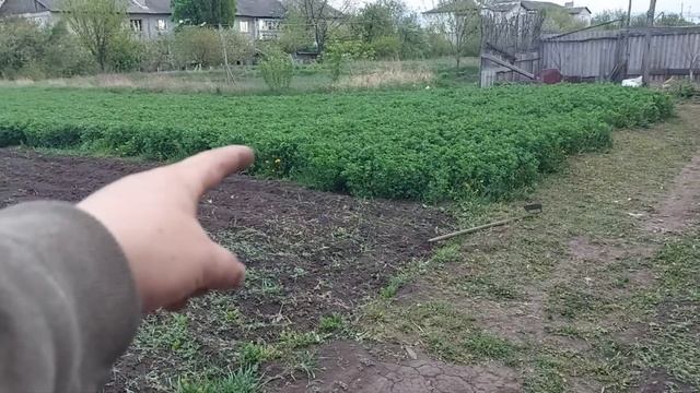 Огородные работы полным ходом. смотреть онлайн