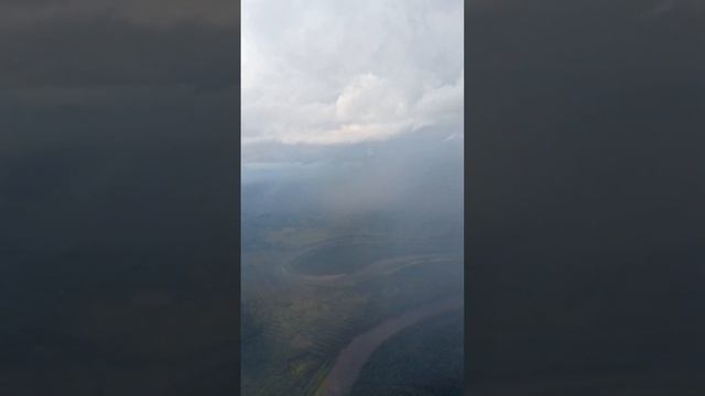 Тайга смотреть онлайн