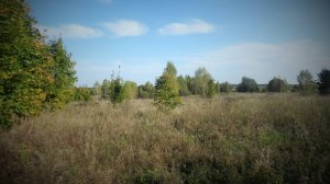 Продажа земли - 25 соток в Тверской области, Краснохолмского района