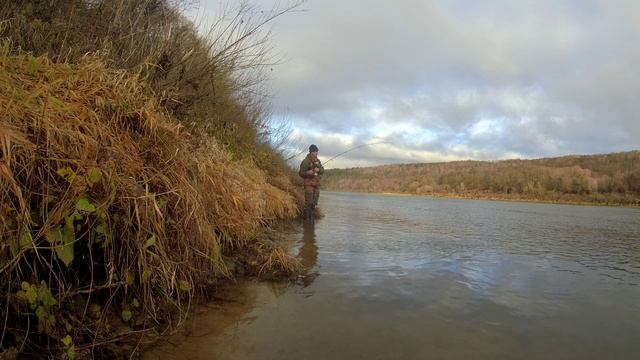 УЛЕТЕЛА ДОНКА. КАК ЕЁ ПОЙМАТЬ? смотреть онлайн