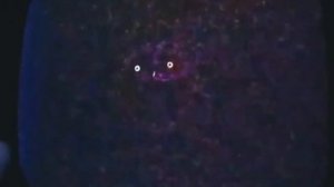 Recording_19#-##-#-151436-Experiment-1188-CatNap