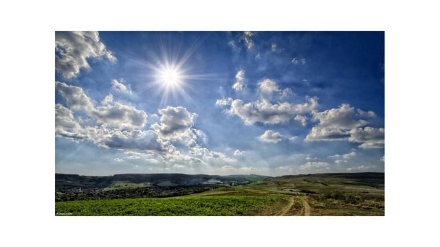 Sunny Study Soundtrack / Manifest Goals / 30 Minutes Study Music смотреть онлайн